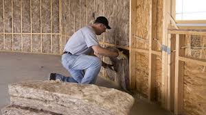 Best Garage Insulation  in Steelville, MO